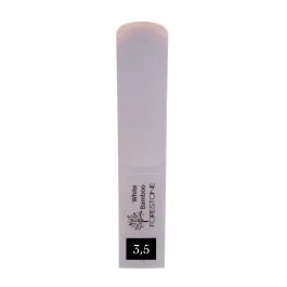 2026_05_08_312567